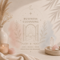 Business Cleansing